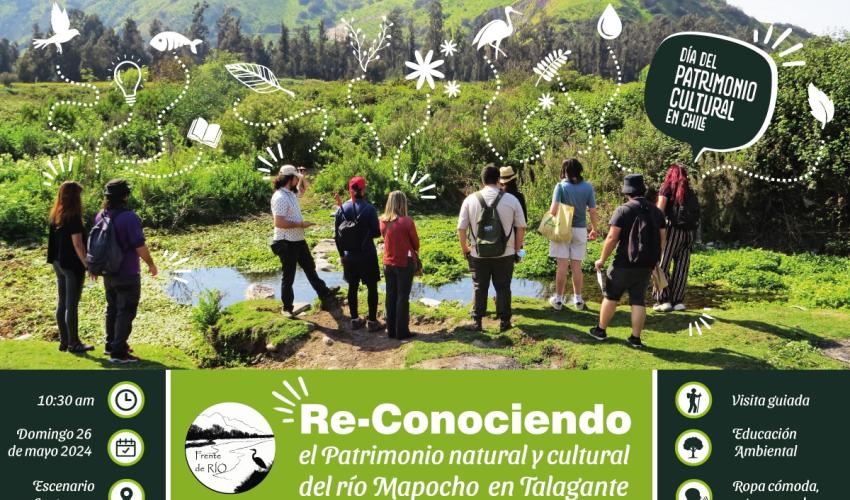 El próximo Domingo 26 mayo del 2024 se celebrará el día del Patrimonio, y como Fundación Frente de Río nos haremos presentes en hacer una visita guiada en el Parque Sendero Humedal Río Mapocho de Talagante. La actividad durará dos horas, es para todas las edades y se proporcionará una visita guiada por miembros de la fundación los cuales impartirán educación ambiental sobre el patrimonio natural del Río Mapocho.