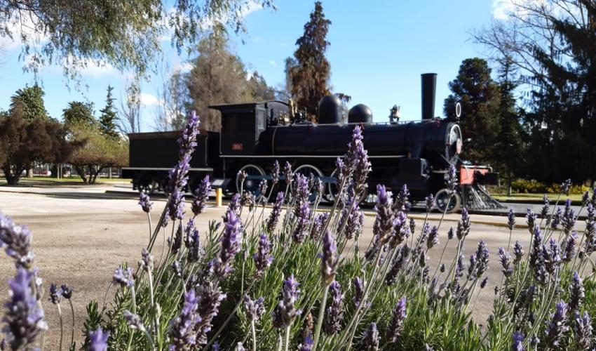 Locomotora 211 en los jardines del Museo Ferroviario de Santiago