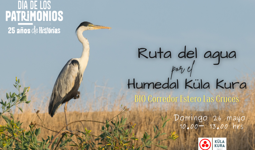 La Ruta del Agua por el Humedal Küla Kura